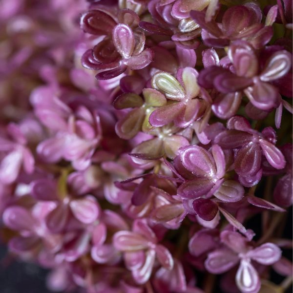 Abigail Ahern -Artificial Hortensia Bunch - Image 2