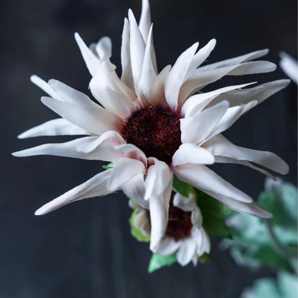 Abigail Ahern -Artificial Chrysanthemum, Blush - Image 2