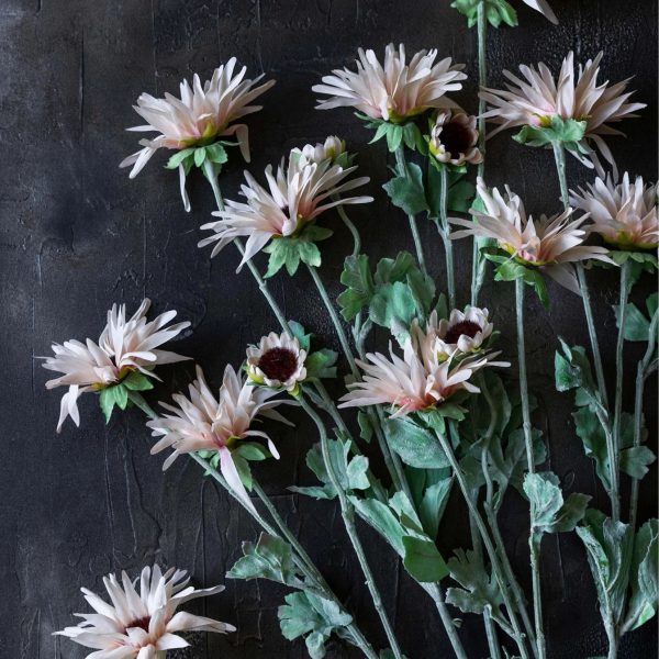 Abigail Ahern -Artificial Chrysanthemum, Blush - Image 3