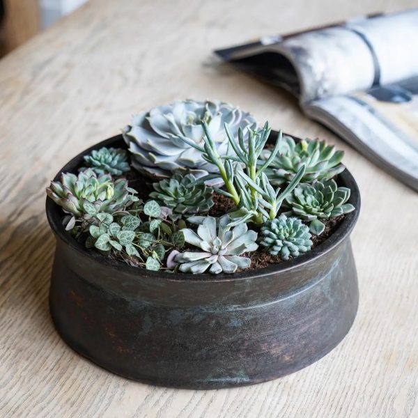 Royal Botanic Gardens, Kew Ceramic Statement Planter Bowl